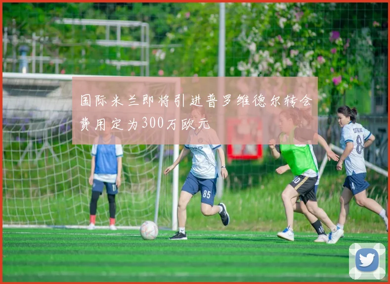 国际米兰即将引进普罗维德尔转会费用定为300万欧元