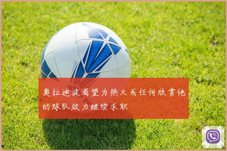 奥拉迪波渴望为热火或任何欣赏他的球队效力继续求职